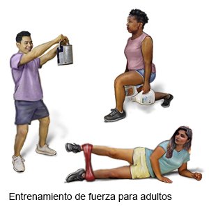 Entrenamiento de fuerza para adultos