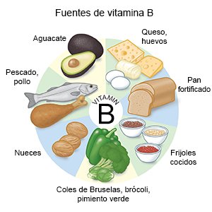 Fuentes de vitamina B