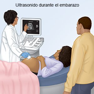 Ultrasonido durante el embarazo