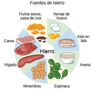 reembolso República rompecabezas Dieta Rica En Hierro Care Guide Information En Espanol
