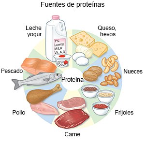 Fuentes de proteínas