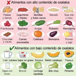 formación Logro Pensamiento Dieta Con Bajo Contenido De Oxalato Care Guide Information En Espanol