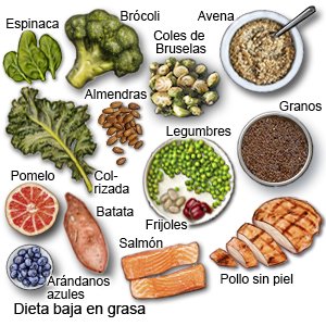 Dieta baja en grasa