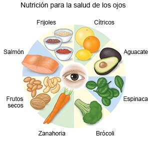 Nutrición para la salud de los ojos