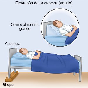 Abro la NUTRIA VIRAL que RESPIRA y DUERME ✂️ ¿Tiene Pulmones? ¿Ayuda a  Dormir Realmente? 