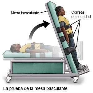 Síndrome De Taquicardia Postural Ortostática (pots) Care Guide Information  En Espanol