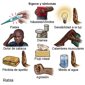 Signos y síntomas de la rabia