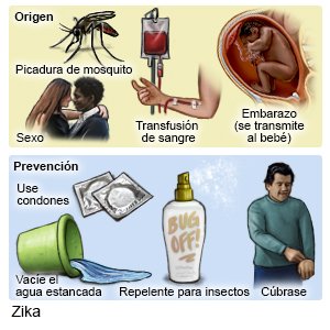 Origen y prevención del Zika