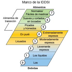 Marco de la IDDSI