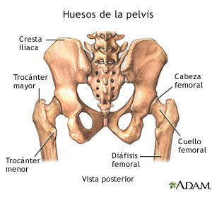 El dolor en la espalda el neuropatólogo