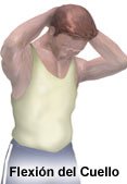 Picture of forward neck flexion exercise