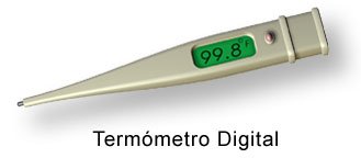  Termometro digitale