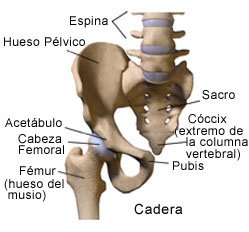 Tos con coágulos de sangre después de una lesión en la cabeza