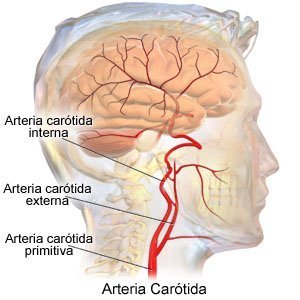 El cerebro se siente obstruido