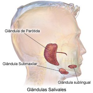 Dolor en la glandula parotida izquierda