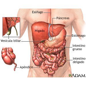 Cuanto dura una operacion de apendicitis