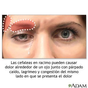 Los dolores vivos en los riñones y en lo bajo del vientre el tratamiento