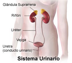 medicamentos que causan sangre de la próstata en la orina