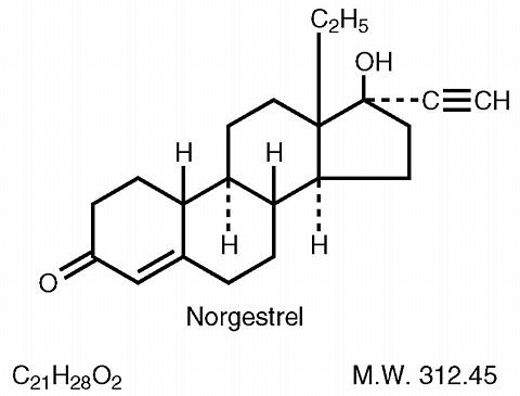 Steroid drugs mode of action