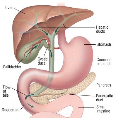 Gallbladder and bile duct cancer