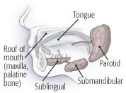 Salivary gland disorders