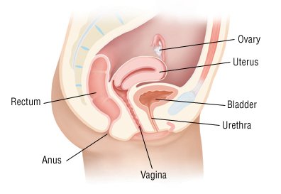 Is it normal to have blood in your urine if you have a UTI?