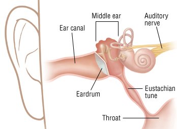 Swimmer S Ear Otitis Externa Guide Causes Symptoms And