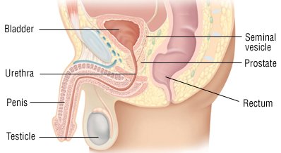 a prostatitis azonosítása a férfiakban)