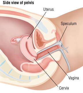 vaginal burning before period starts | Menstrual cycle ...