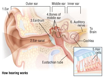 What are the causes of earaches?