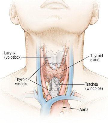 Graves' Disease