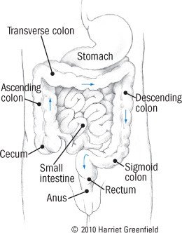 Irritable bowel syndrome (IBS)