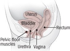 Bladder infection (cystitis) Guide: Causes, Symptoms and Treatment