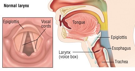 Vocal Cord Disorders