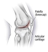creak articular