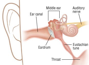 Swimmer's Ear (Otitis Externa)