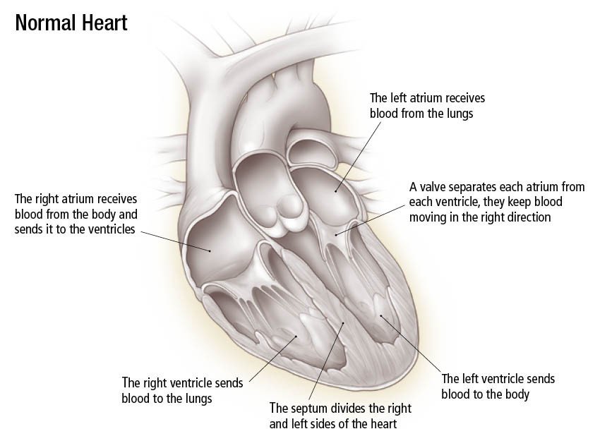 Cardiomyopathy