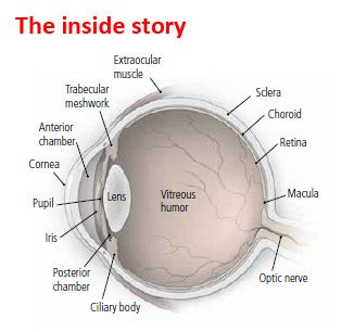 Retinopatia