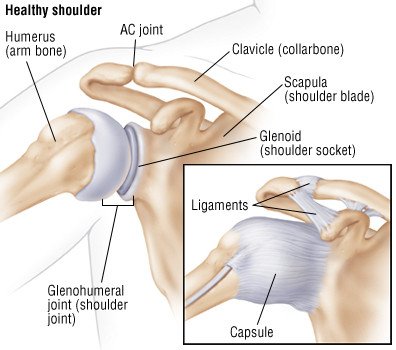 Shoulder Dislocation Guide Causes Symptoms And Treatment Options Shoulder Dislocation Guide Causes Symptoms And Treatment Options