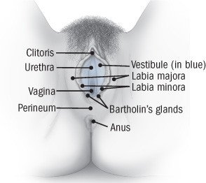 Bartholin's gland cyst