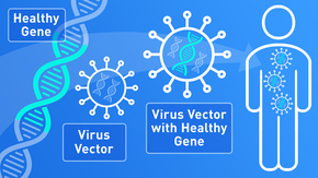 How Gene Therapy Works How Gene Therapy Works
