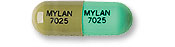 Loxapine succinate 25 mg MYLAN 7025 MYLAN 7025