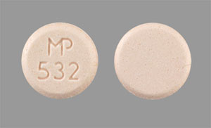 Lovastatin 10 mg MP 532