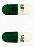Cephalexin 250 mg 250 LUPIN