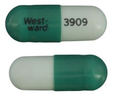 Pill West-ward 3909 Dark & Light Green Capsule/Oblong is Zaleplon