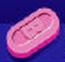 Pill B WL 25 Pink Elliptical/Oval is Benadryl Allergy Ultratab