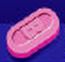 Pill B WL 25 is Benadryl Allergy Ultratab diphenhydramine 25 mg