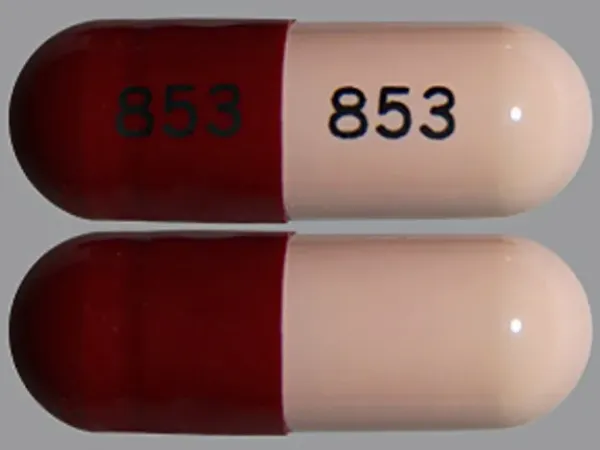 Minocycline hydrochloride 100 mg 853 853