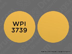 300x225 Hydromorphone Hydrochloride Extended-Release WPI 3739