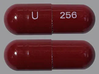 Pill U 256 Maroon Capsule/Oblong is Piroxicam
